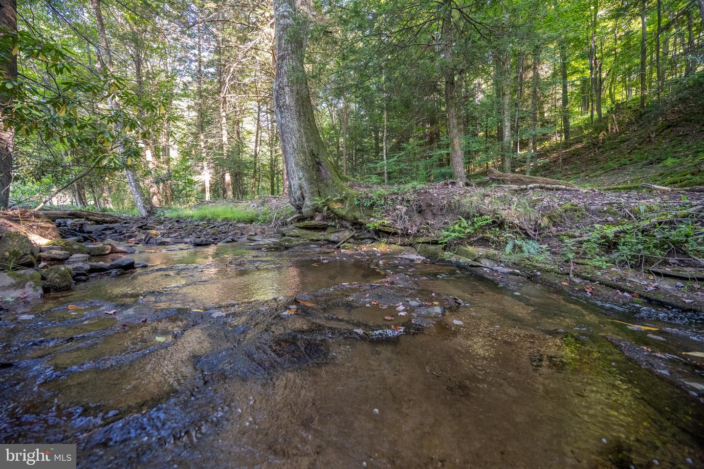 Sang Run Rd Property Photo 19