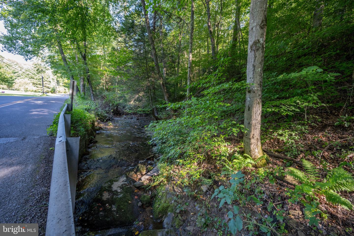 Sang Run Rd Property Photo 20