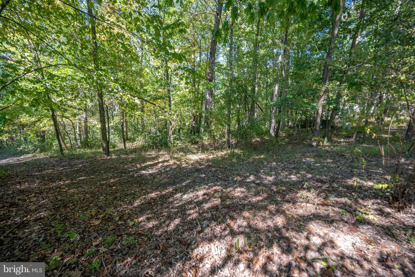 Lot 9 Normas Way Property Photo 5