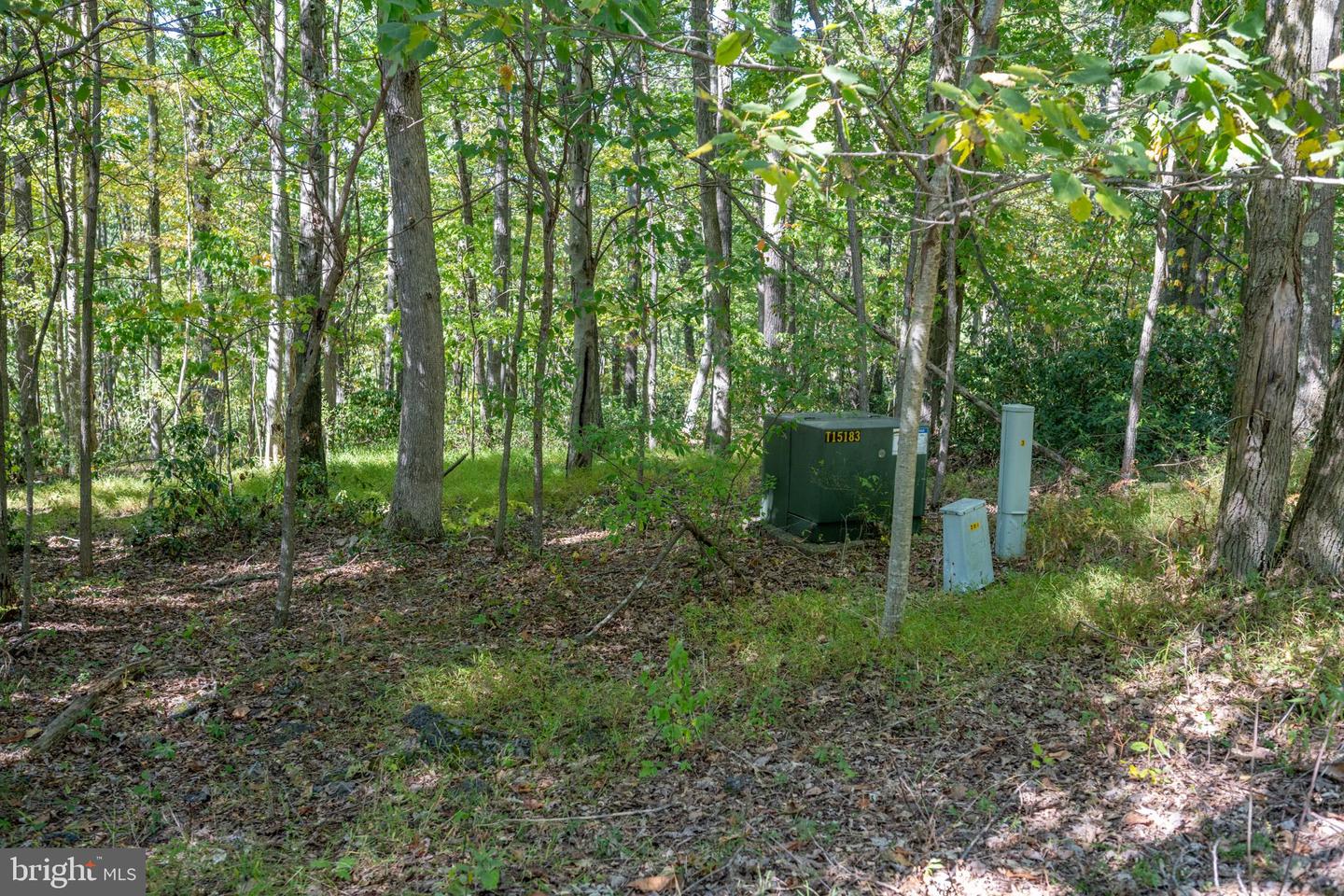 Lot 9 Normas Way Property Photo 6