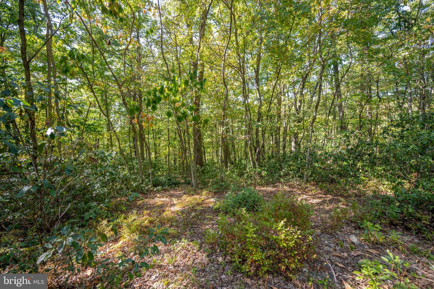 Lot 9 Normas Way Property Photo 9