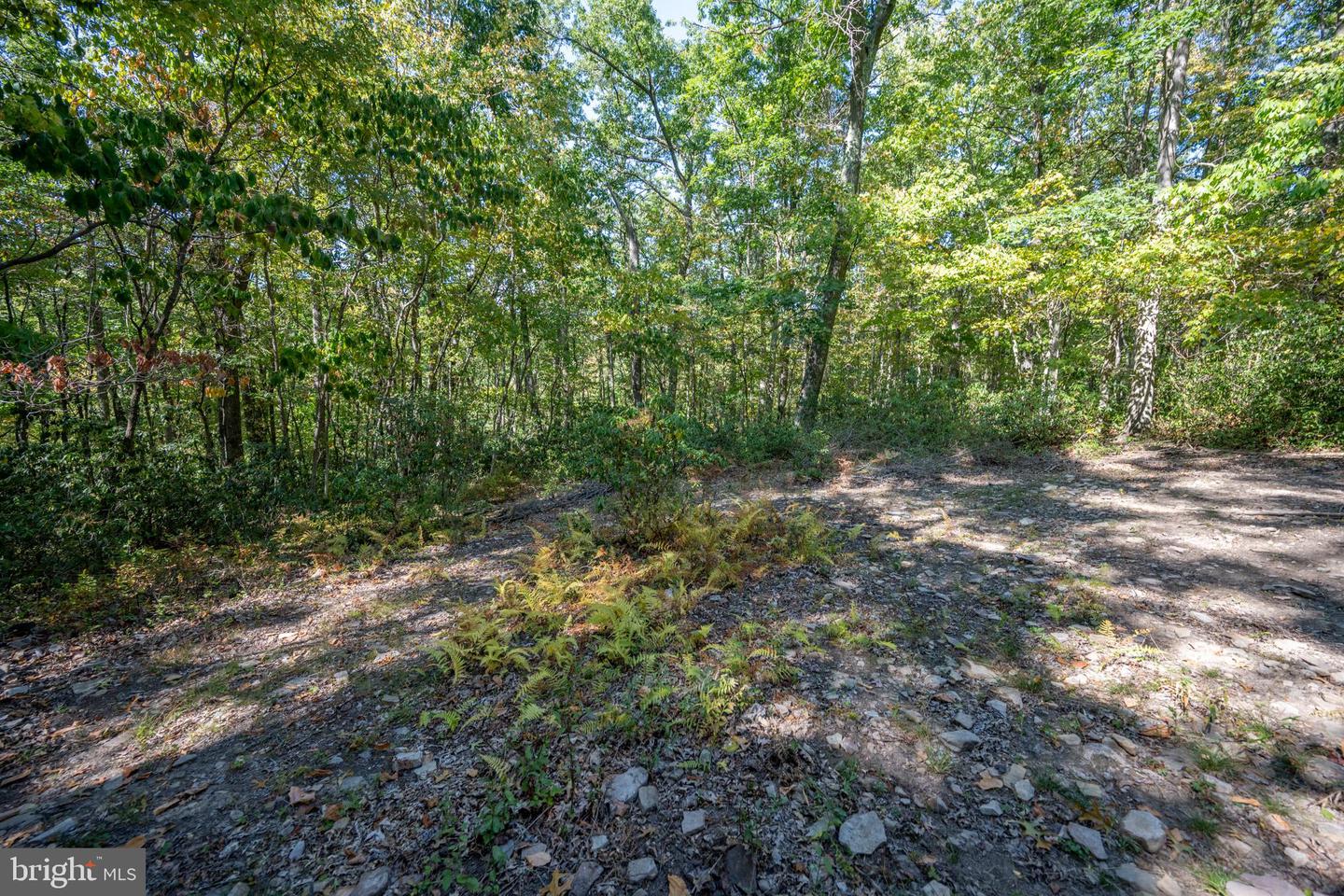 Lot 9 Normas Way Property Photo 12