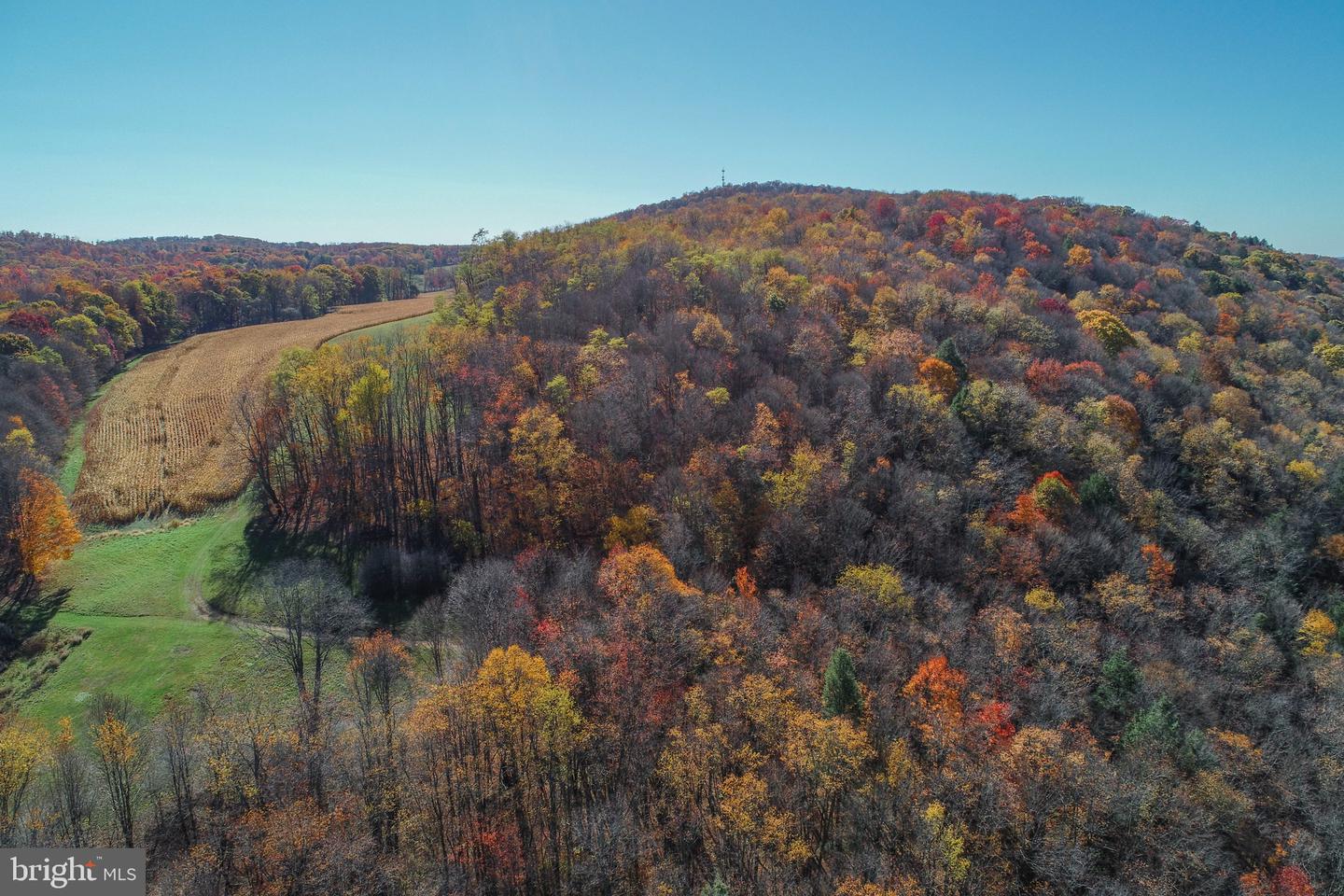 2527 Pigs Ear Rd Property Photo 4