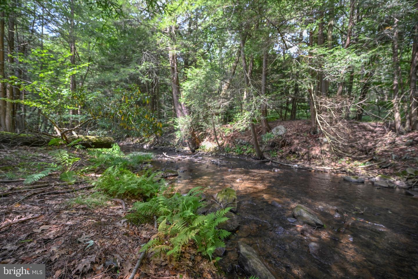 2527 Pigs Ear Rd Property Photo 9