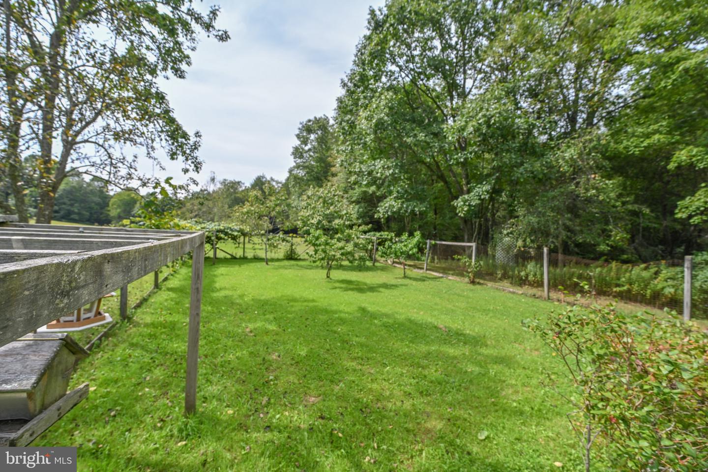 2527 Pigs Ear Rd Property Photo 41