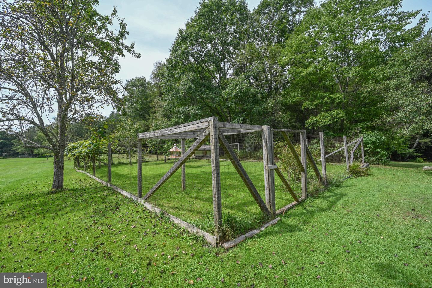 2527 Pigs Ear Rd Property Photo 42