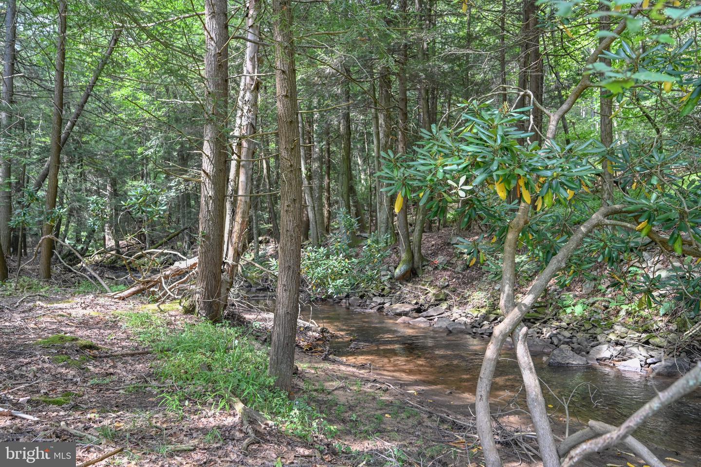 2527 Pigs Ear Rd Property Photo 43