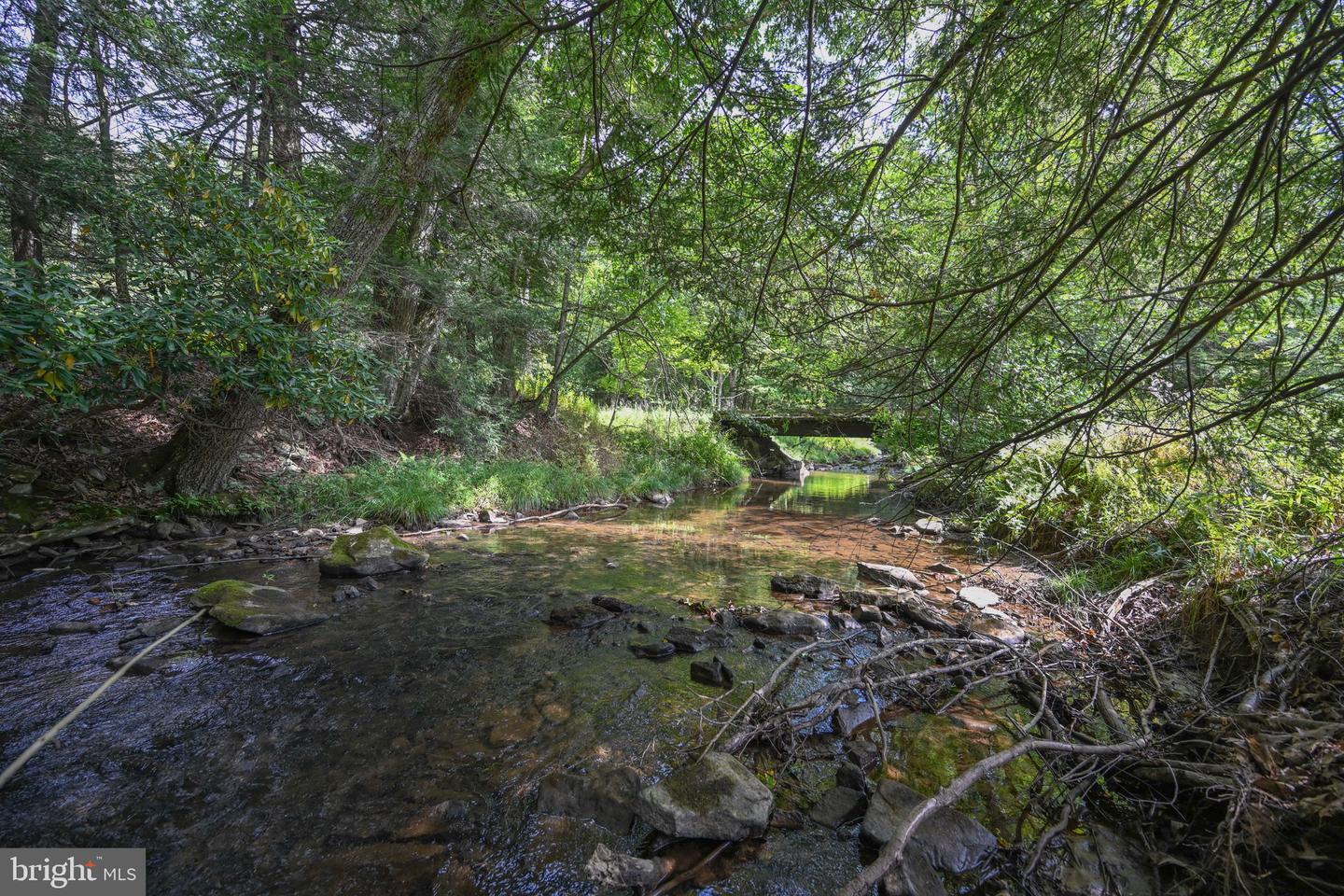 2527 Pigs Ear Rd Property Photo 60