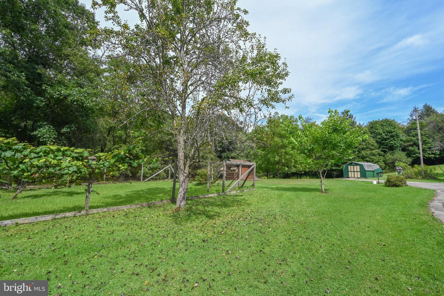 2527 Pigs Ear Rd Property Photo 61