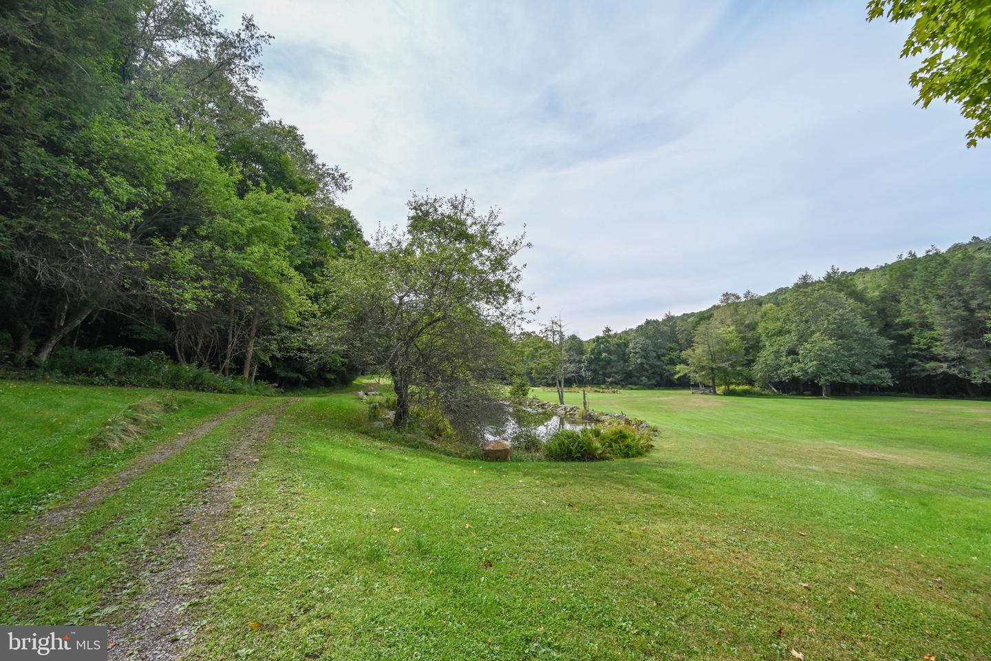 2527 Pigs Ear Rd Property Photo 63
