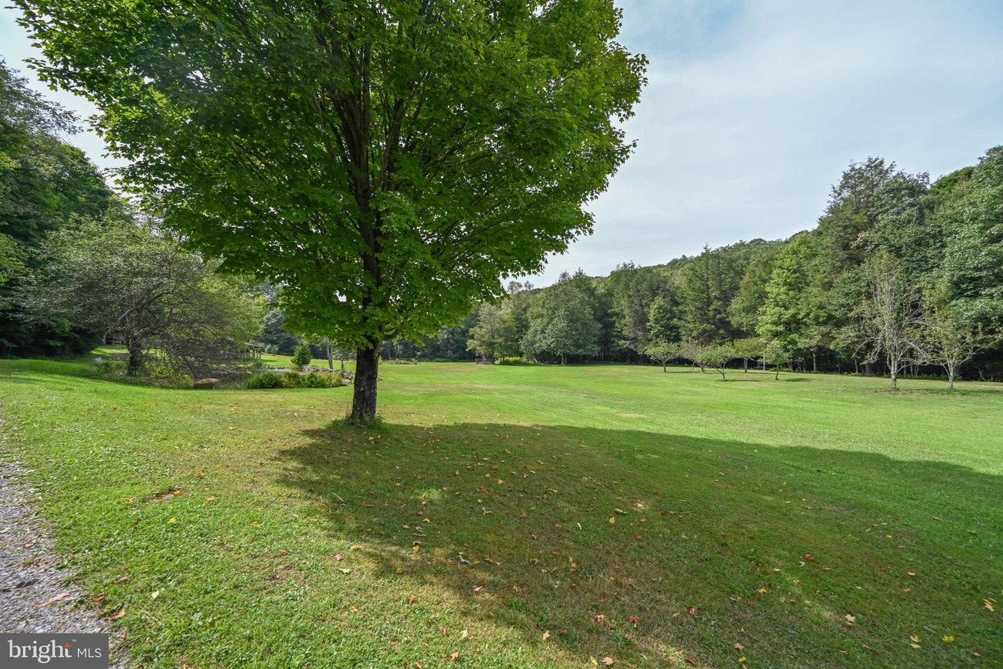 2527 Pigs Ear Rd Property Photo 74