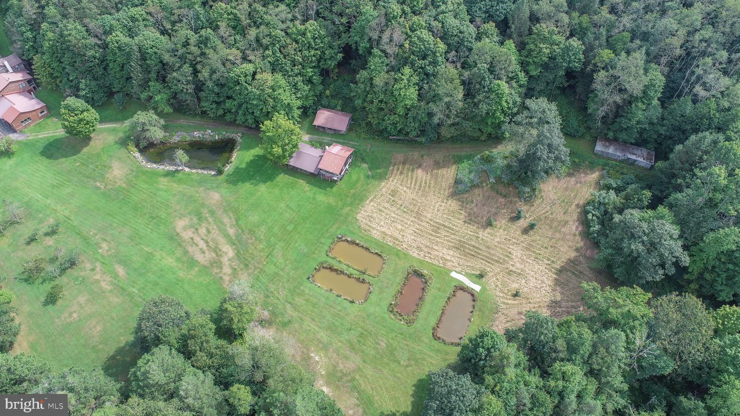 2527 Pigs Ear Rd Property Photo 77
