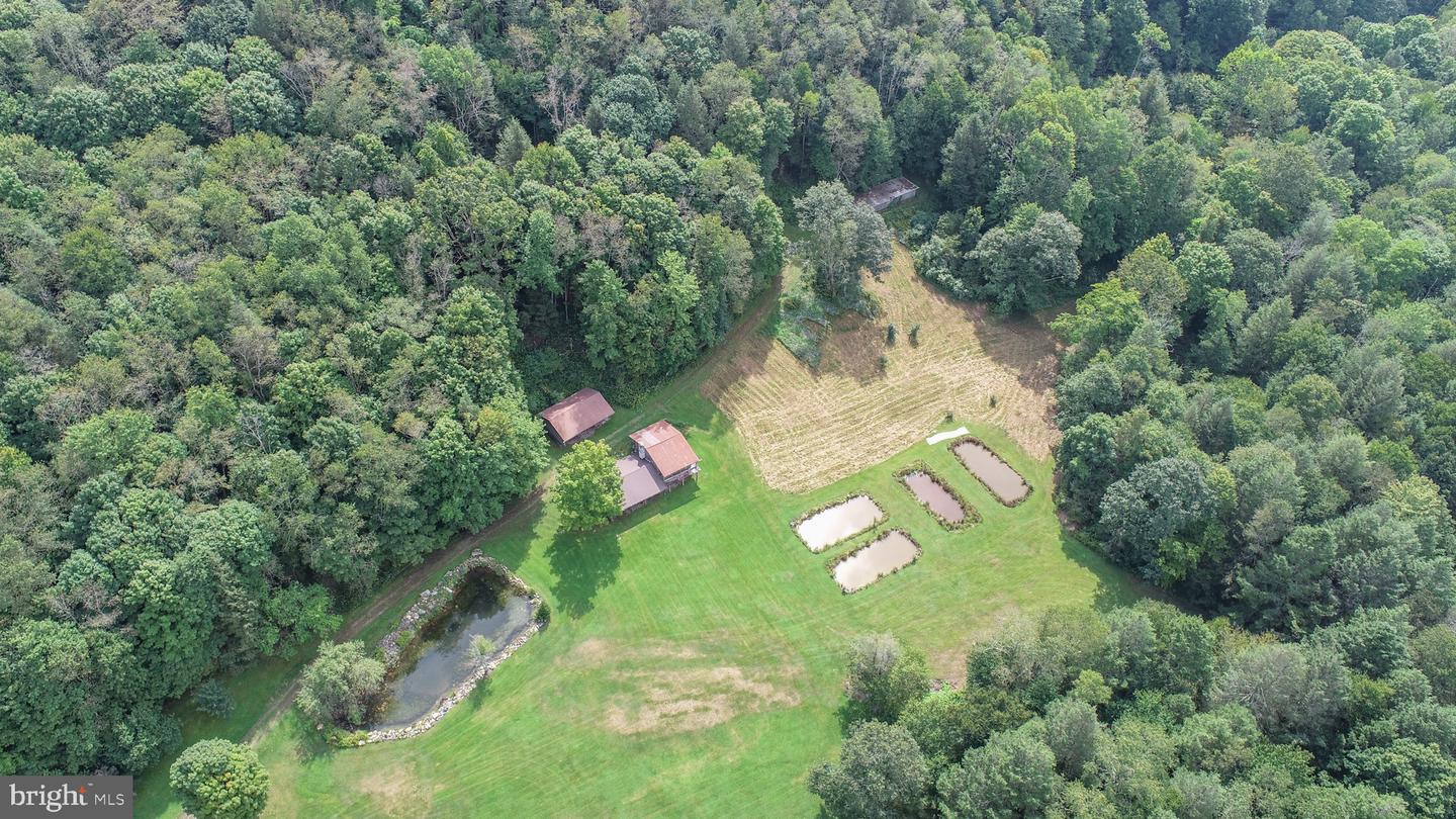 2527 Pigs Ear Rd Property Photo 84