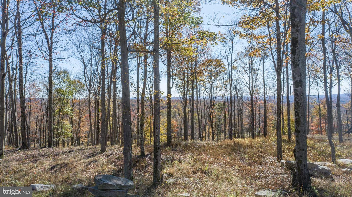 115 Campfire Dr Property Photo 13
