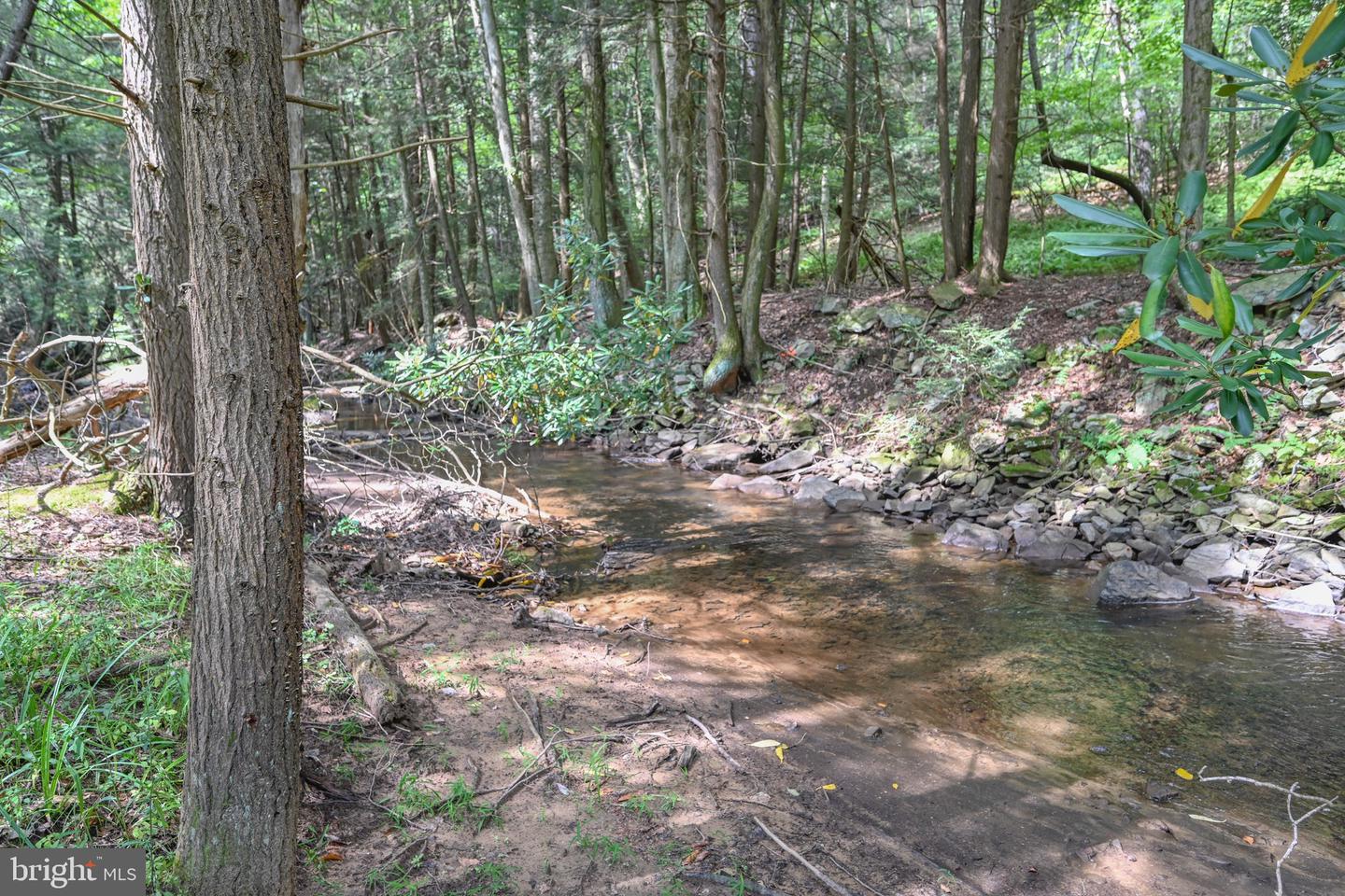 2527 Pigs Ear Rd Property Photo 2