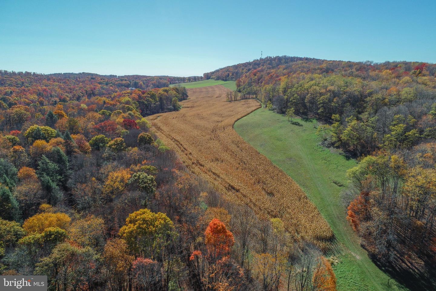 2527 Pigs Ear Rd Property Photo 5
