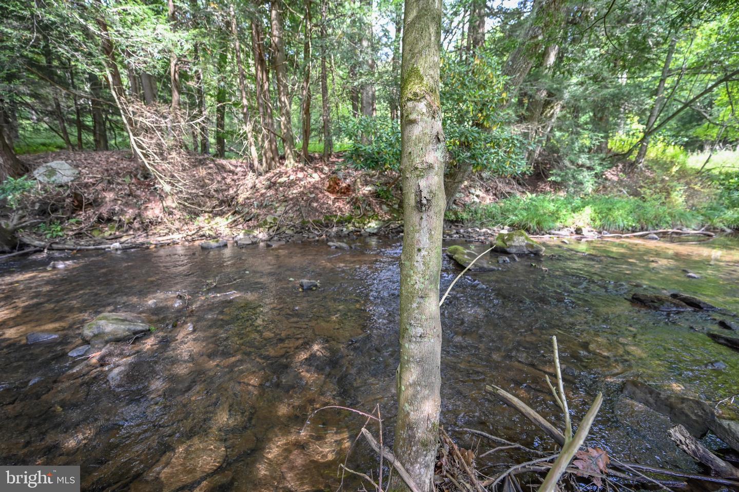 2527 Pigs Ear Rd Property Photo 10