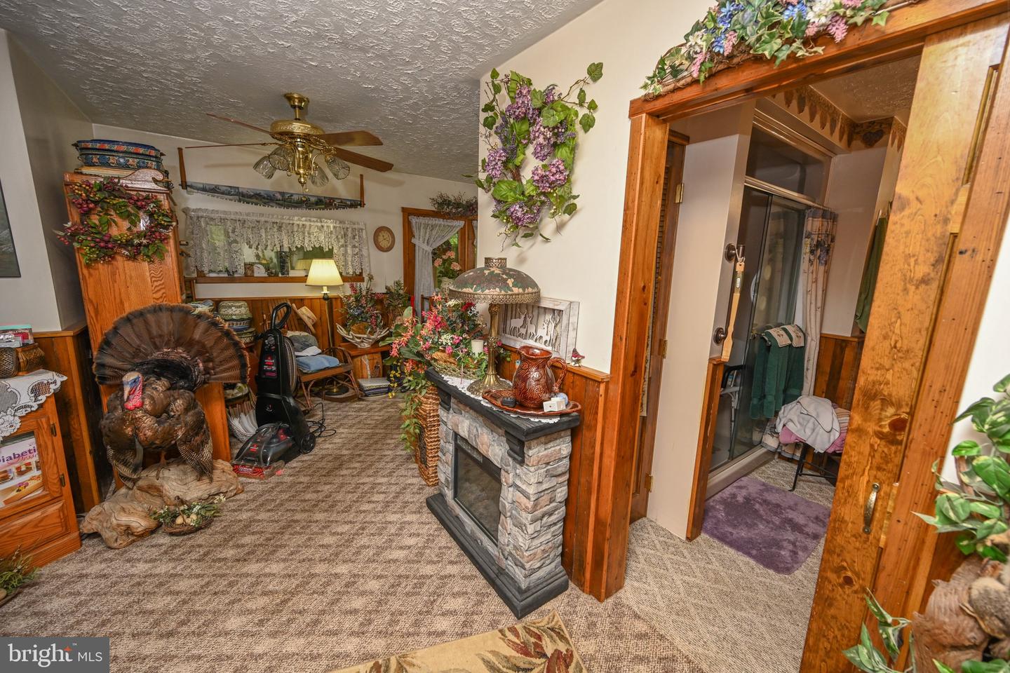 2527 Pigs Ear Rd Property Photo 20