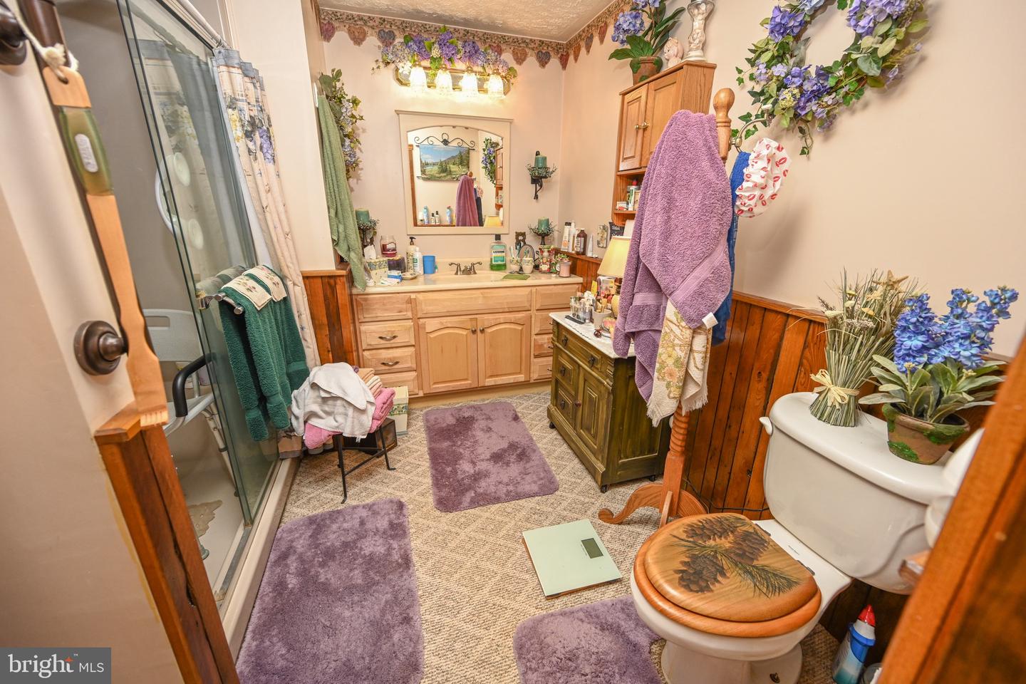 2527 Pigs Ear Rd Property Photo 22