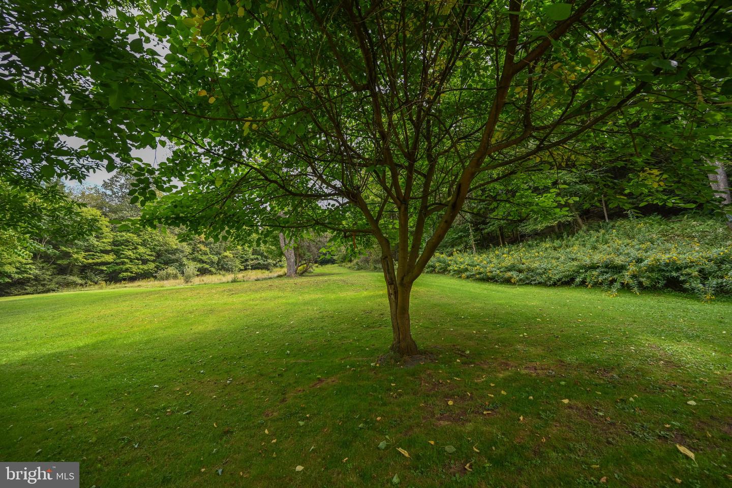 2527 Pigs Ear Rd Property Photo 37