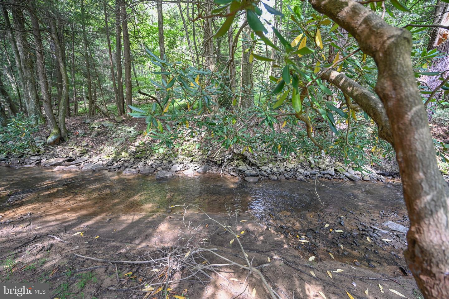 2527 Pigs Ear Rd Property Photo 57