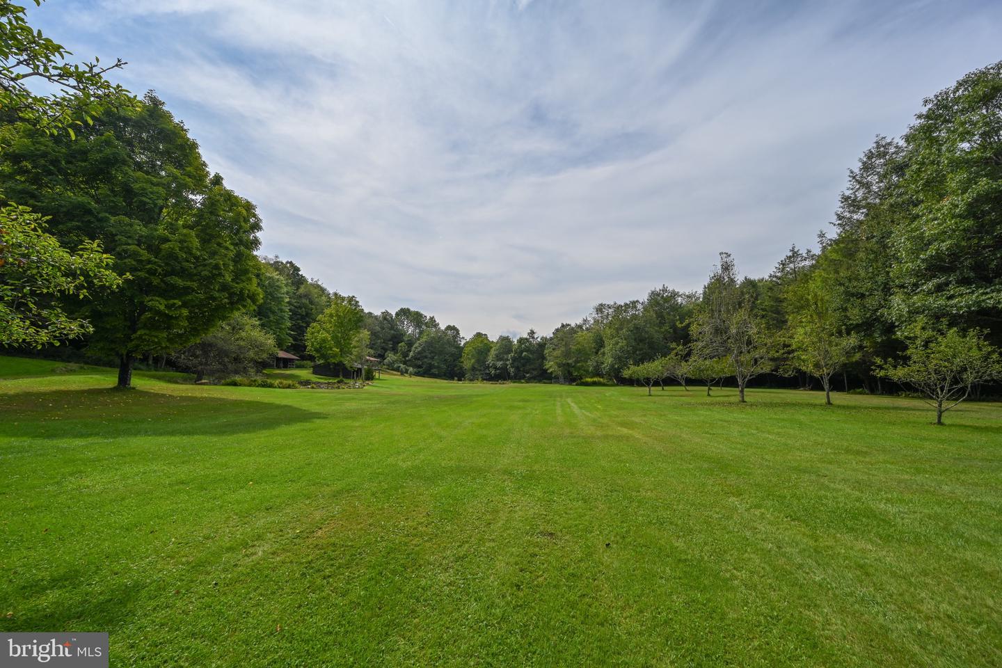 2527 Pigs Ear Rd Property Photo 60