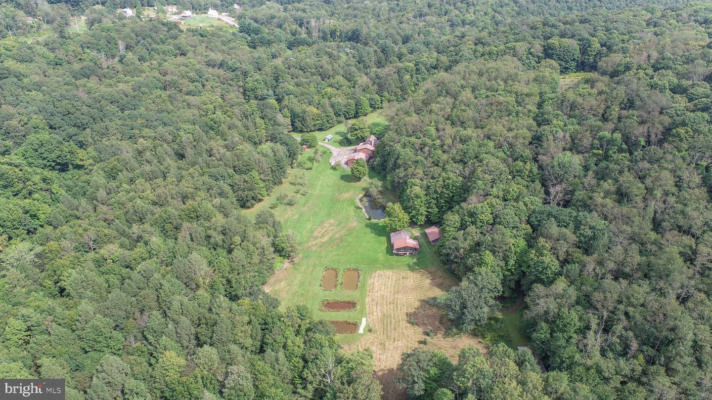 2527 Pigs Ear Rd Property Photo 83