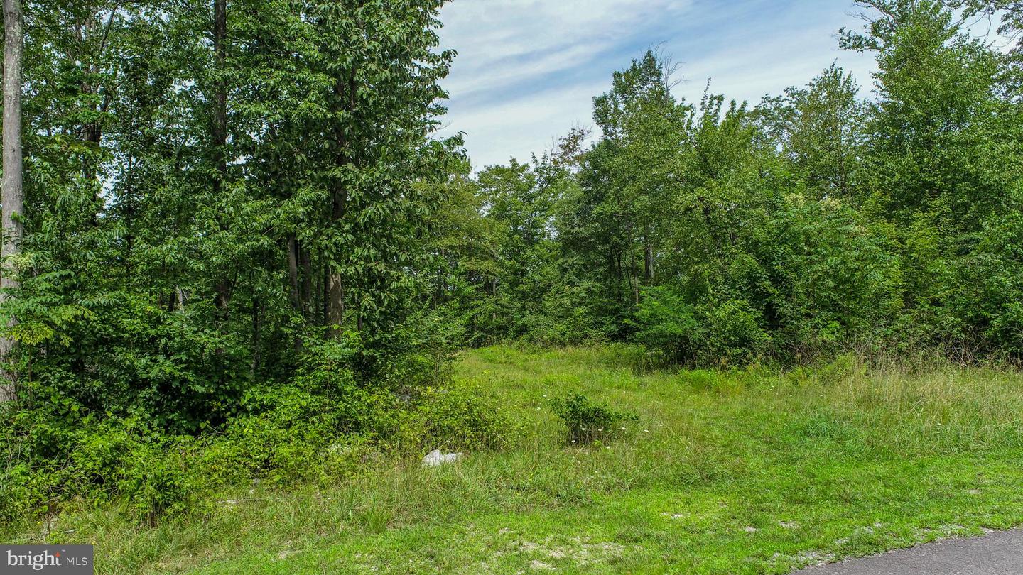 Lot 26 Rocky Gap Trl Property Photo 5