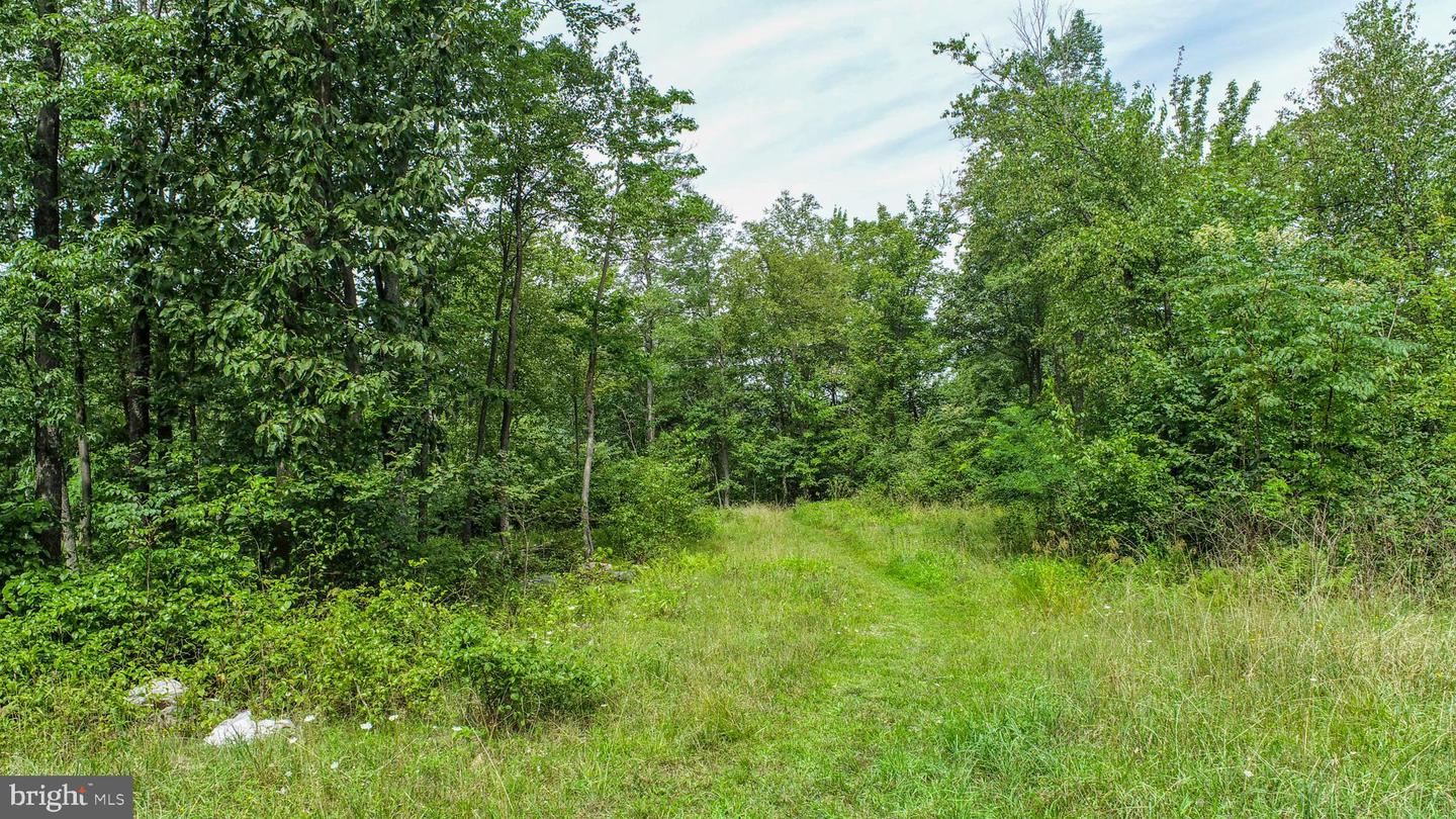 Lot 26 Rocky Gap Trl Property Photo 7