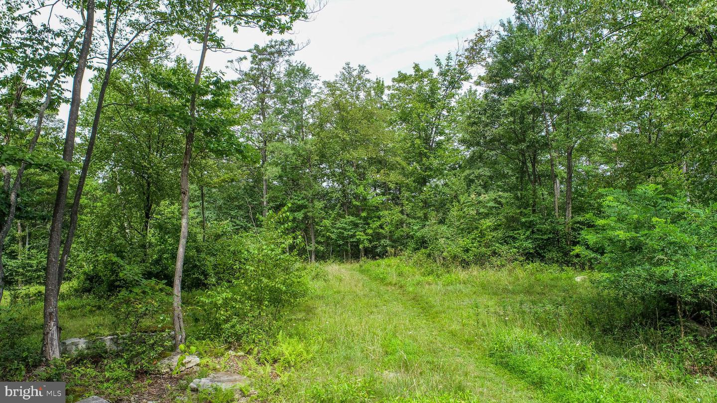 Lot 26 Rocky Gap Trl Property Photo 8