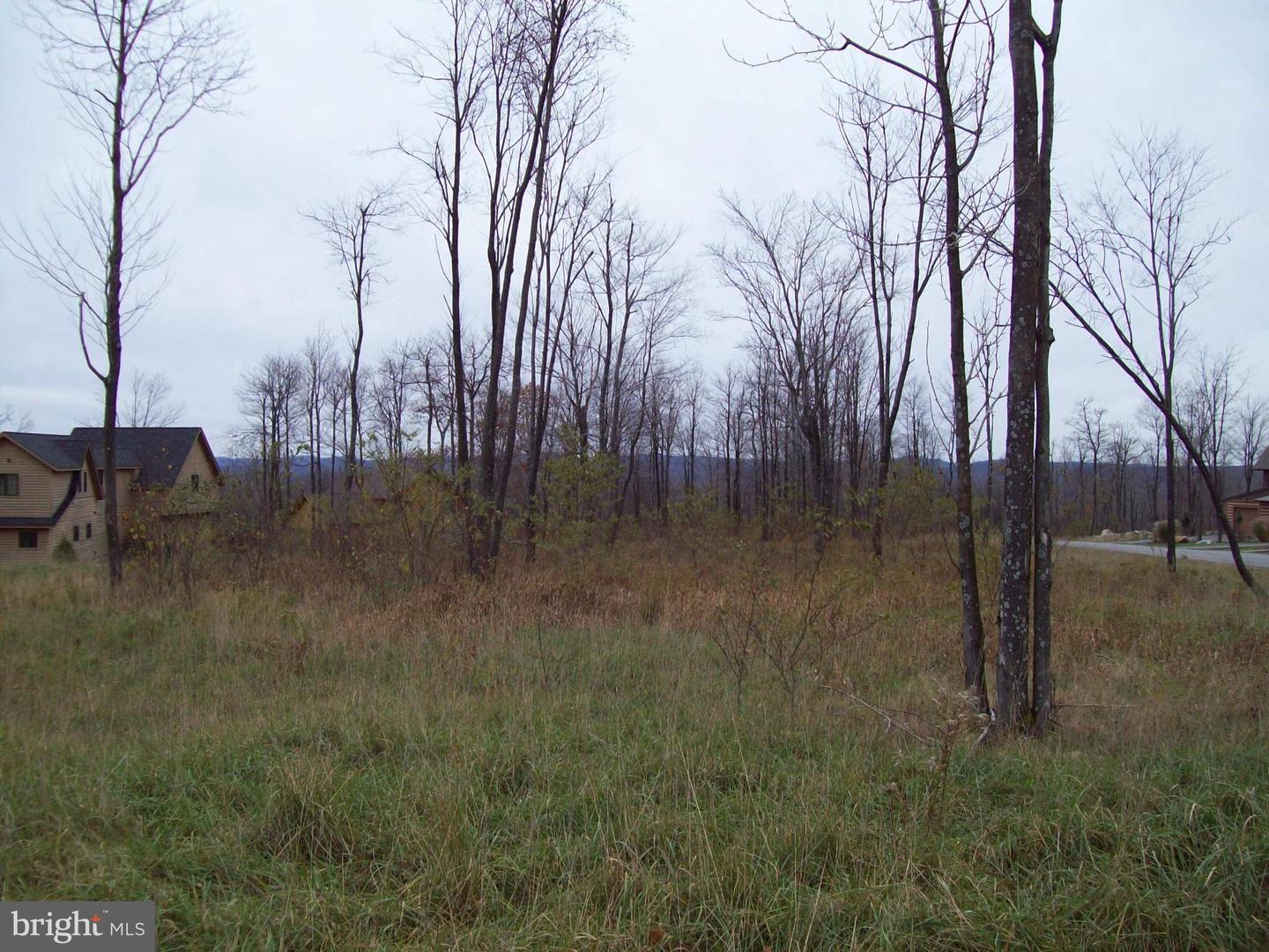 27 Tree Camp Cir Property Photo 4