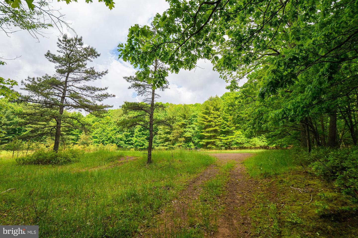 127 Paradise Hts Property Photo 27