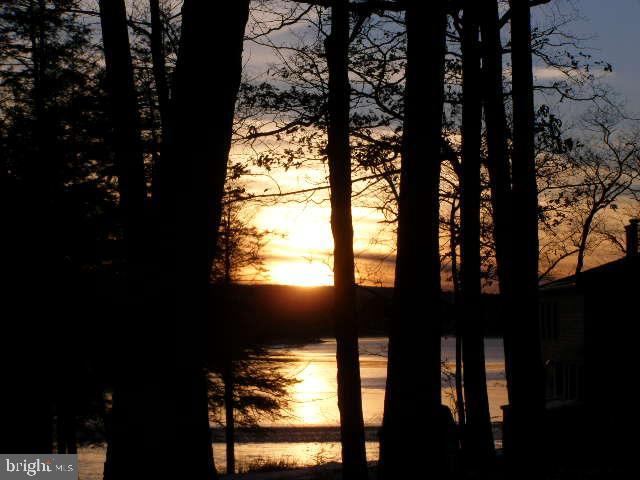 161 Marsh Hill Rd Property Photo 49