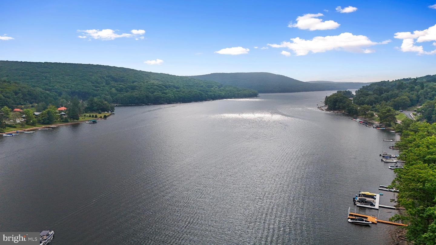1550 Deep Creek Dr #d Property Photo 4