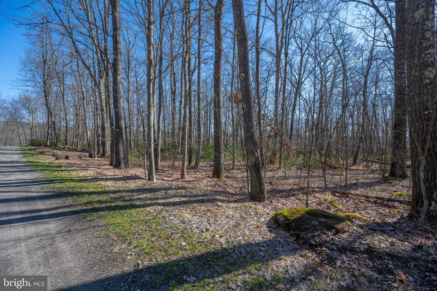 Lot 14 Dogwood Dr Property Photo 2