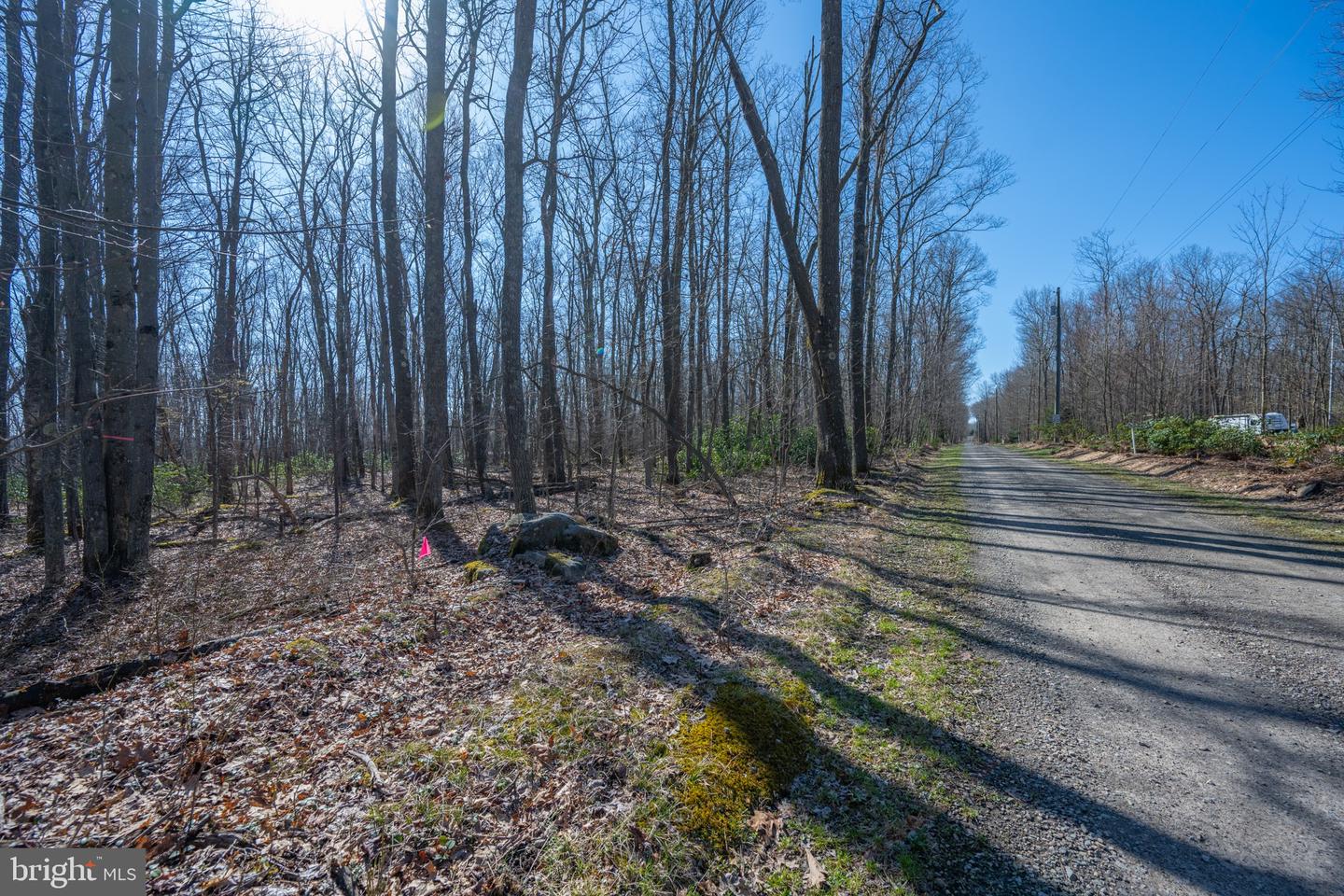 Lot 14 Dogwood Dr Property Photo 3