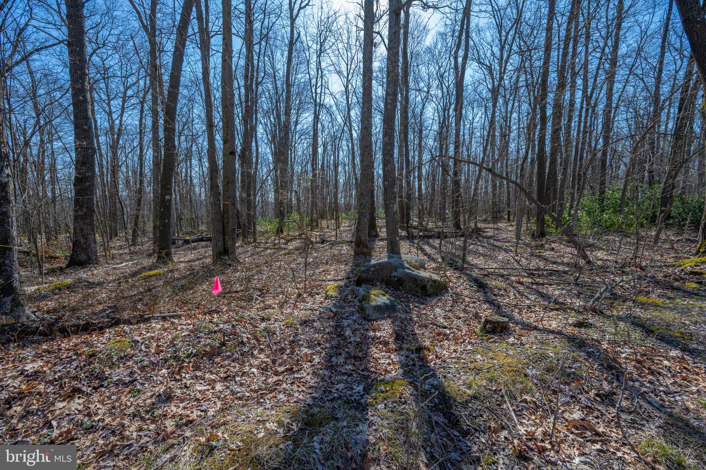 Lot 14 Dogwood Dr Property Photo 5