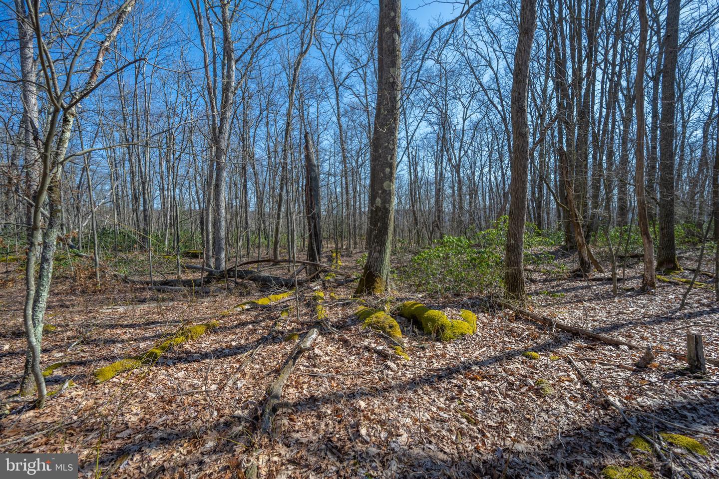 Lot 14 Dogwood Dr Property Photo 13