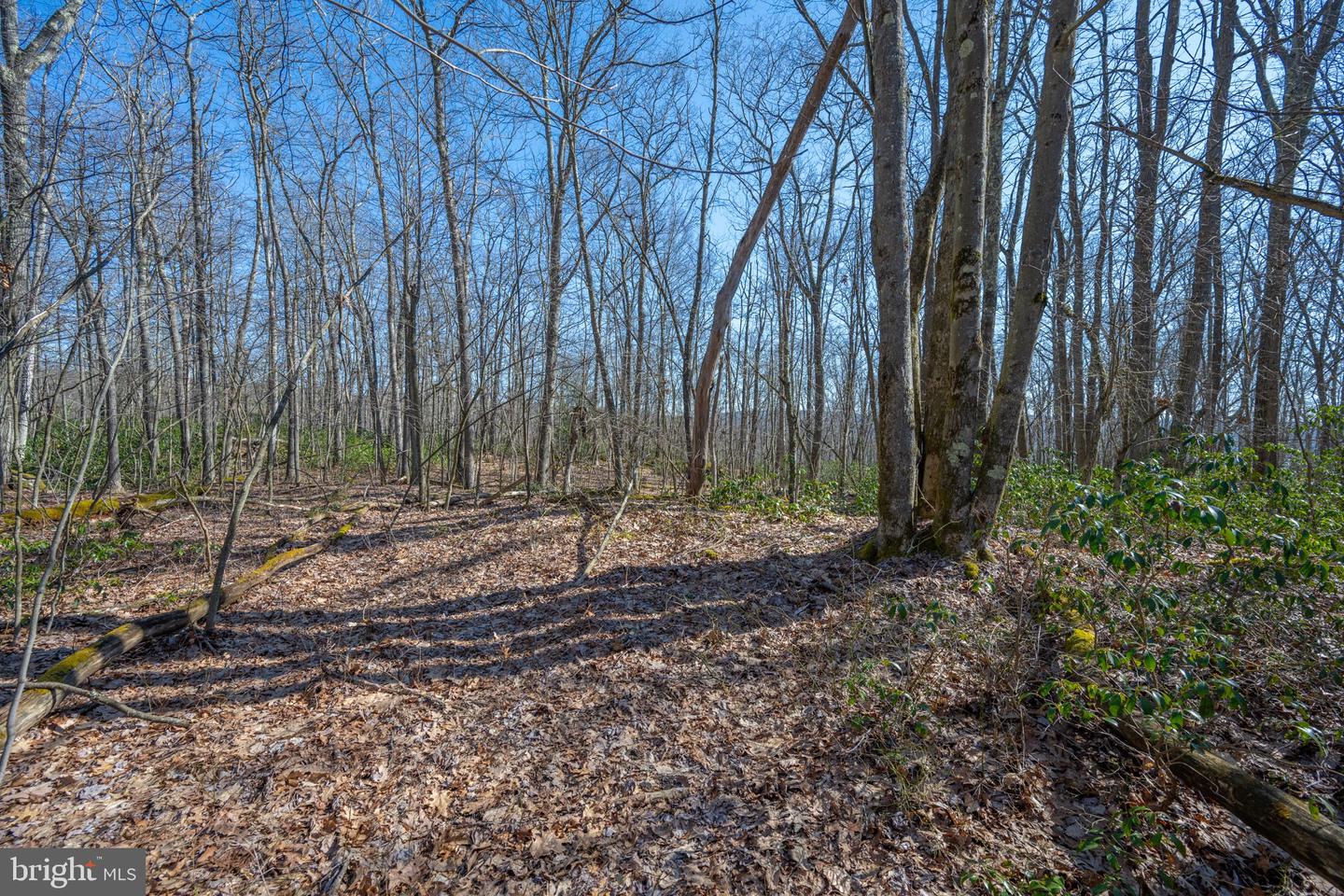 Lot 14 Dogwood Dr Property Photo 14