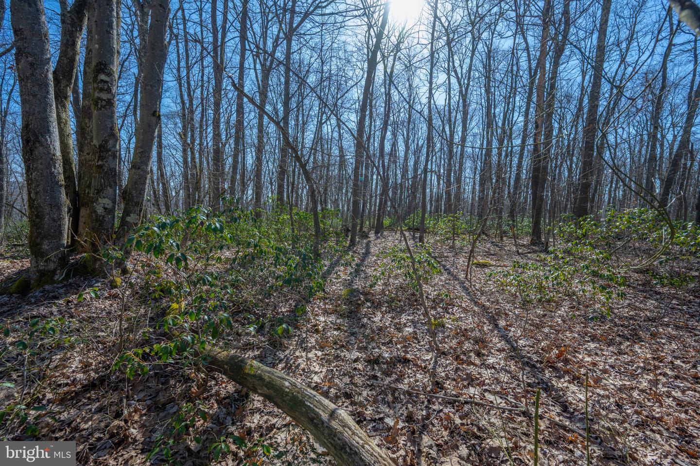 Lot 14 Dogwood Dr Property Photo 15