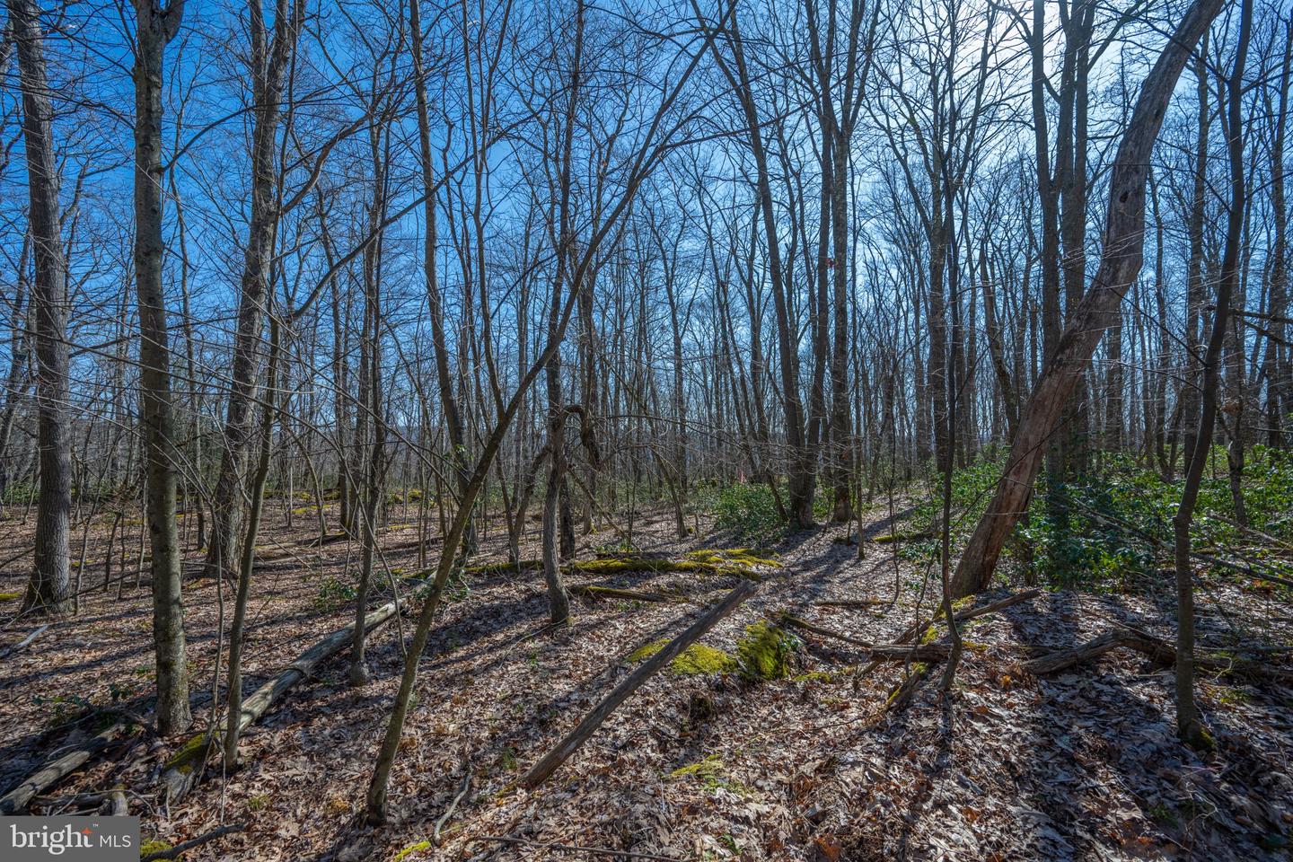 Lot 14 Dogwood Dr Property Photo 17