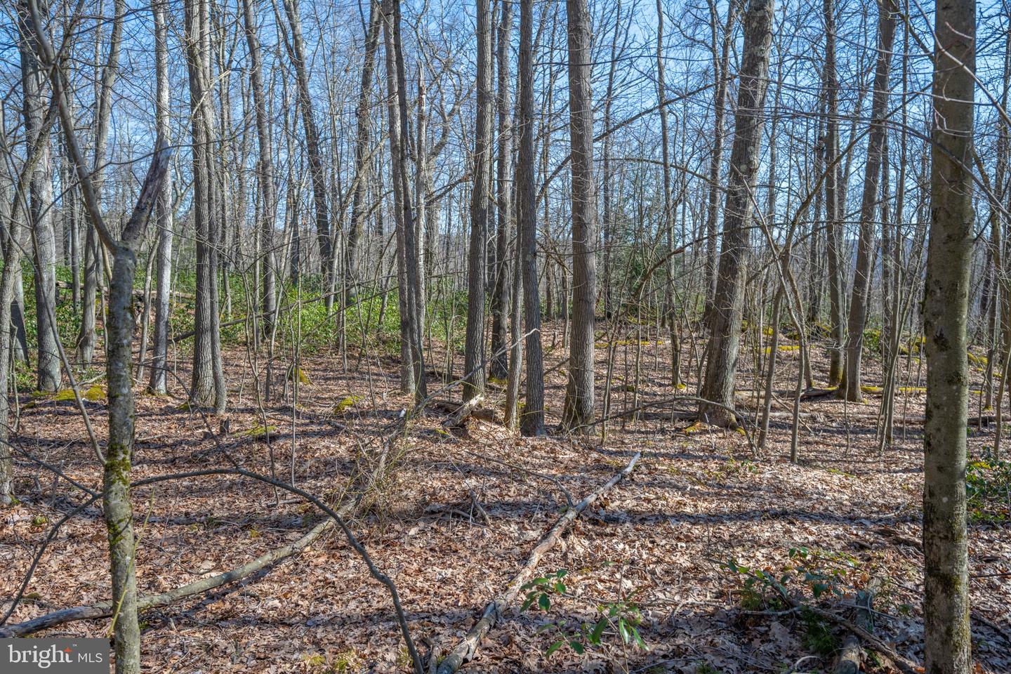 Lot 14 Dogwood Dr Property Photo 18