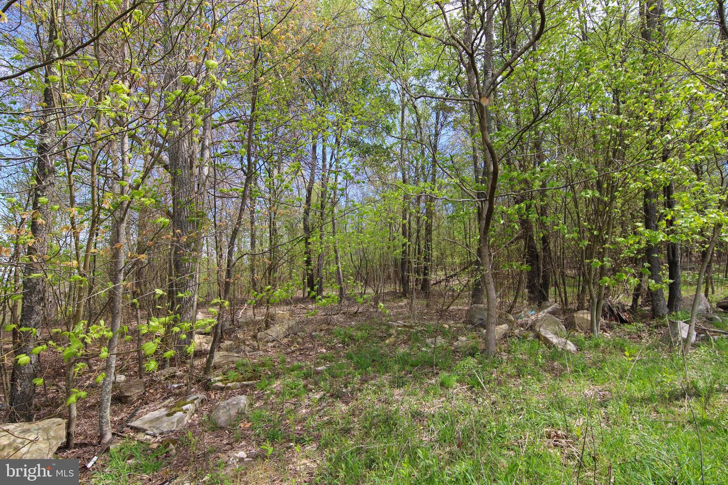 Lot 62 Camp Cir Property Photo 5
