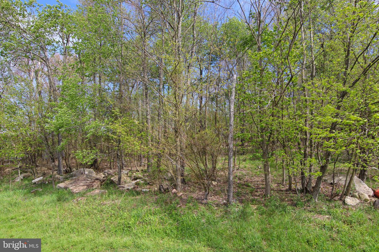 Lot 62 Camp Cir Property Photo 6