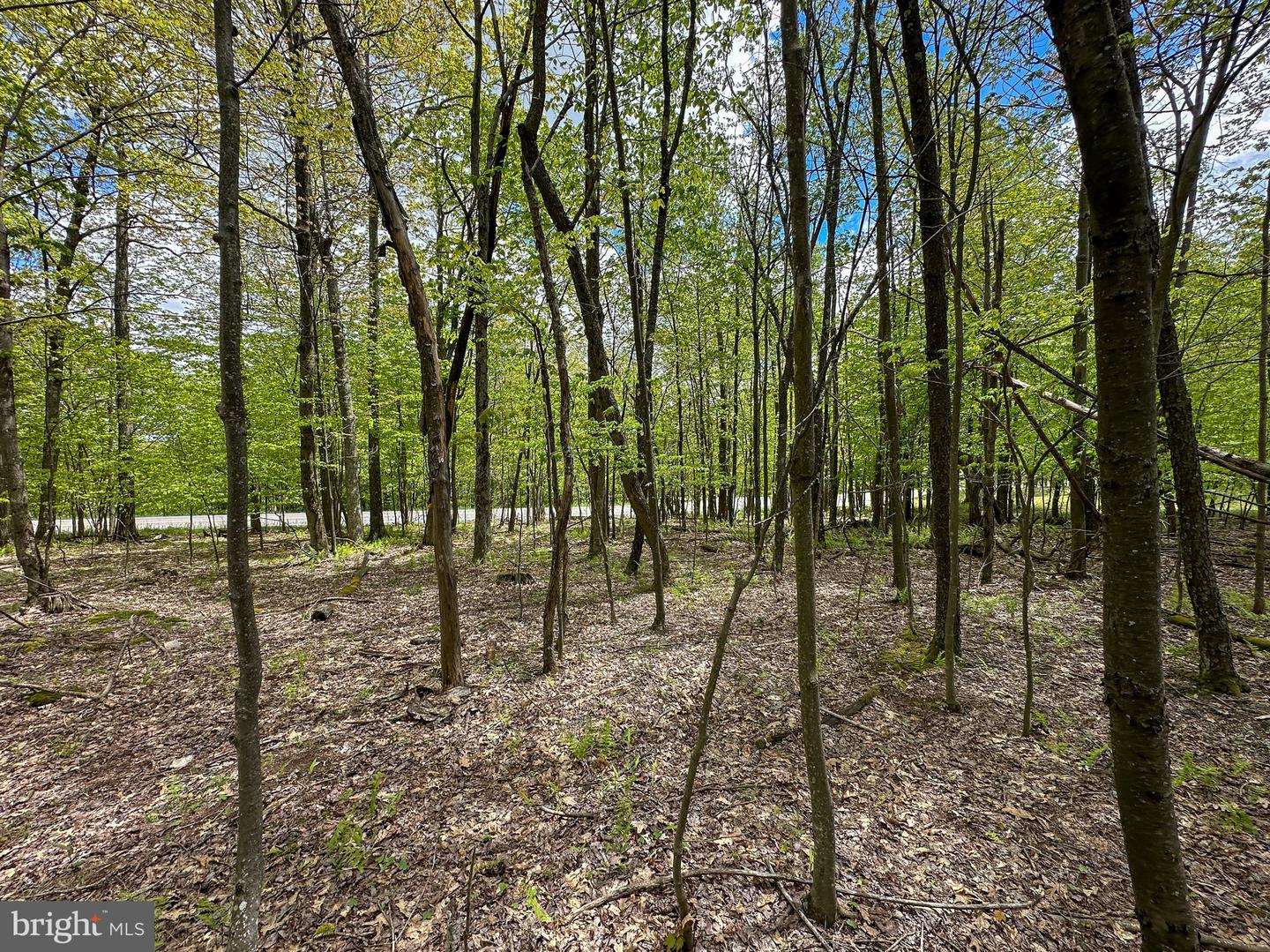 Lot 100 Snowhaven Lane Property Photo 3