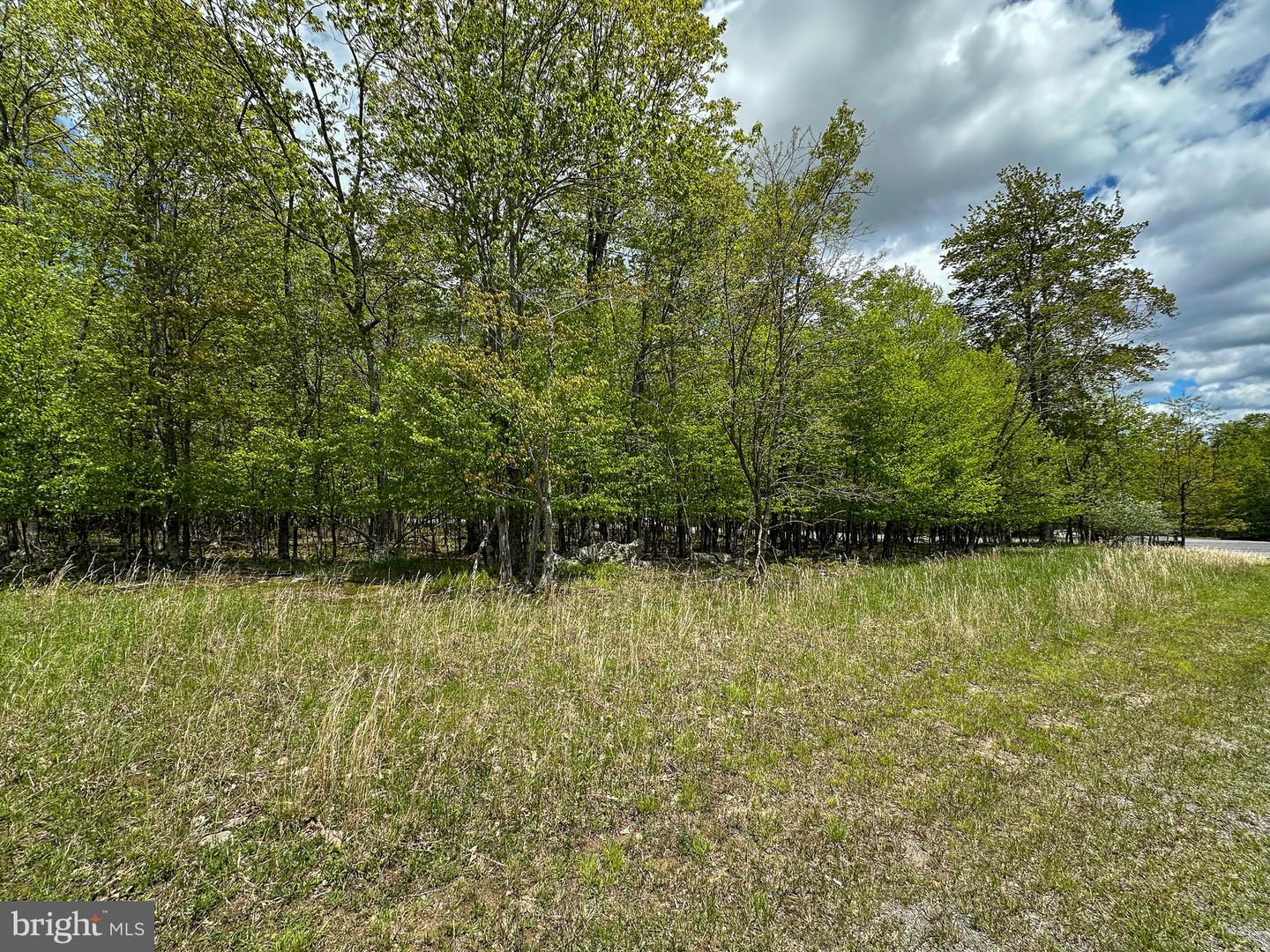 Lot 100 Snowhaven Lane Property Photo 5