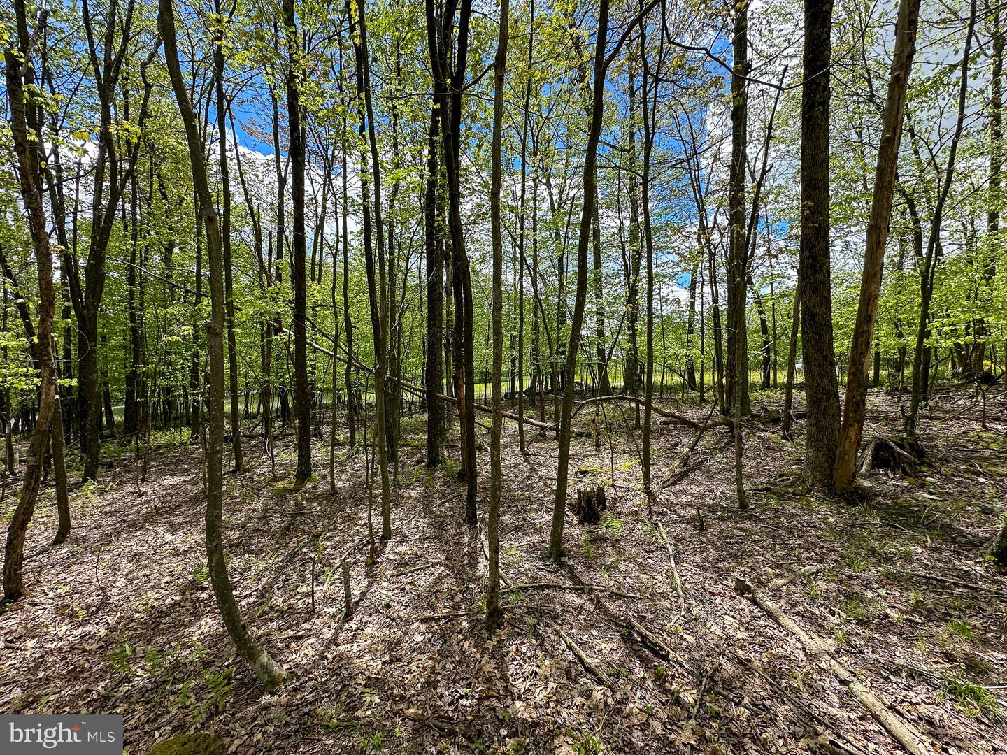 Lot 100 Snowhaven Lane Property Photo 7
