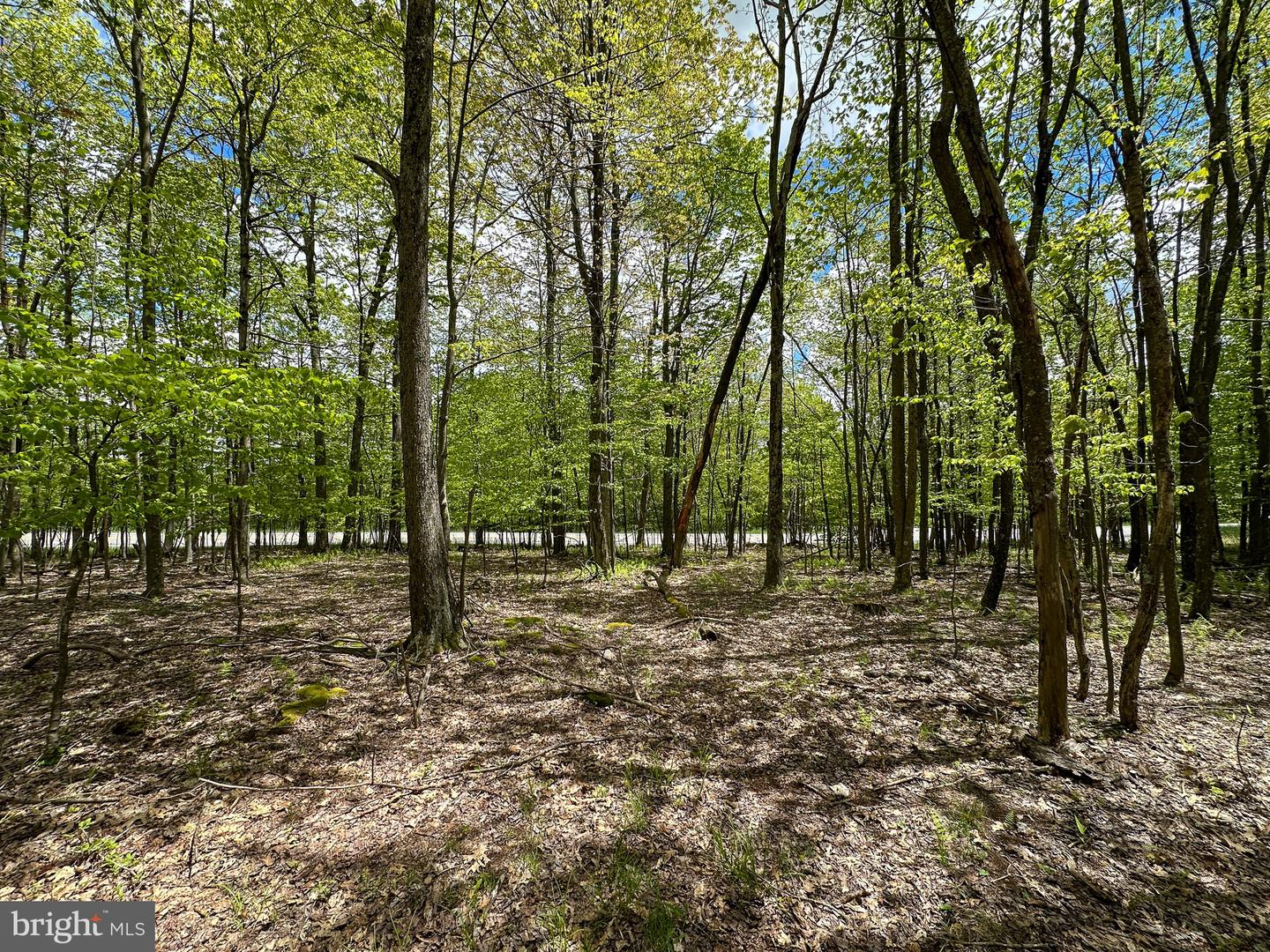 Lot 100 Snowhaven Lane Property Photo 9