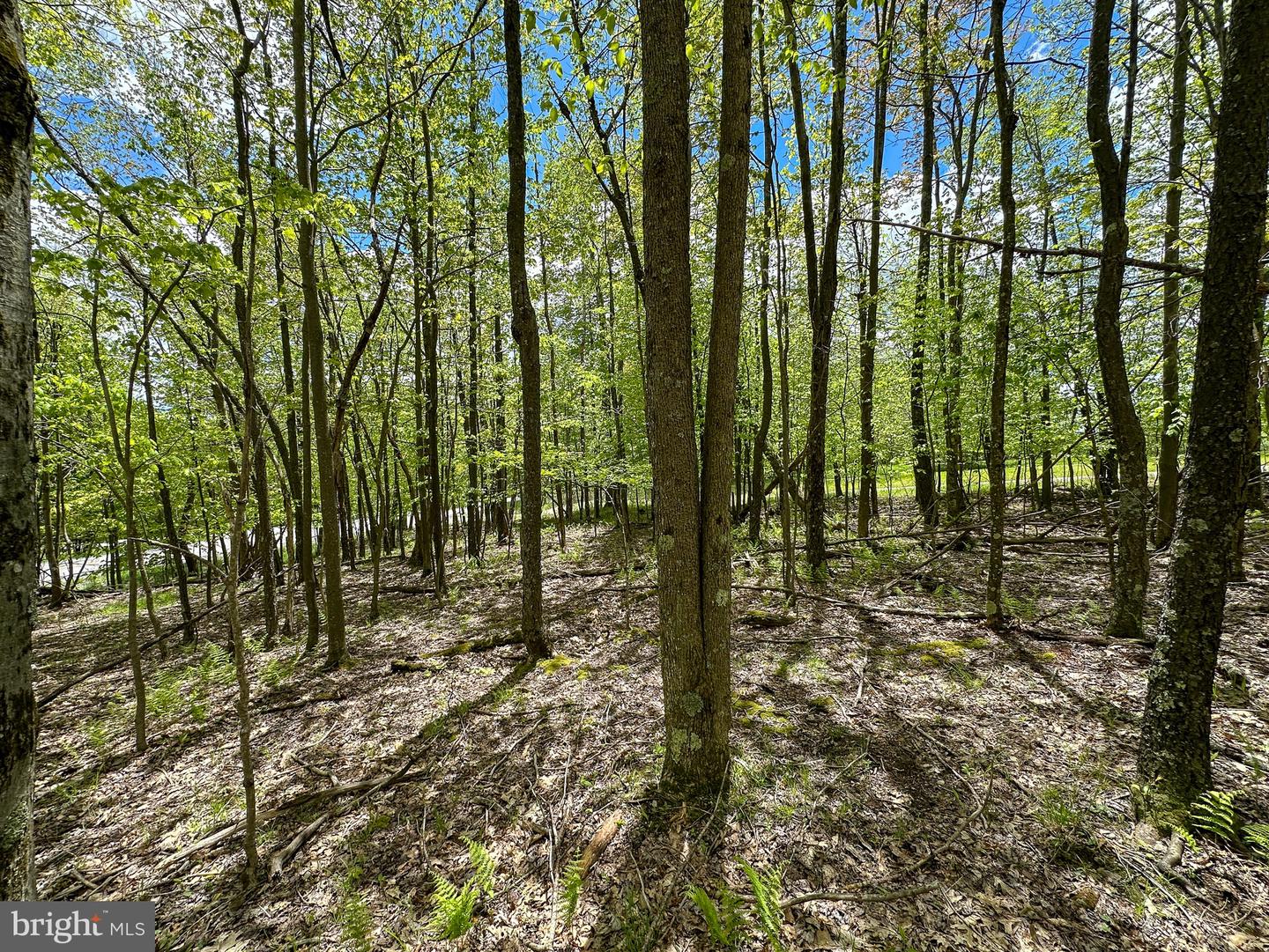 Lot 100 Snowhaven Lane Property Photo 10
