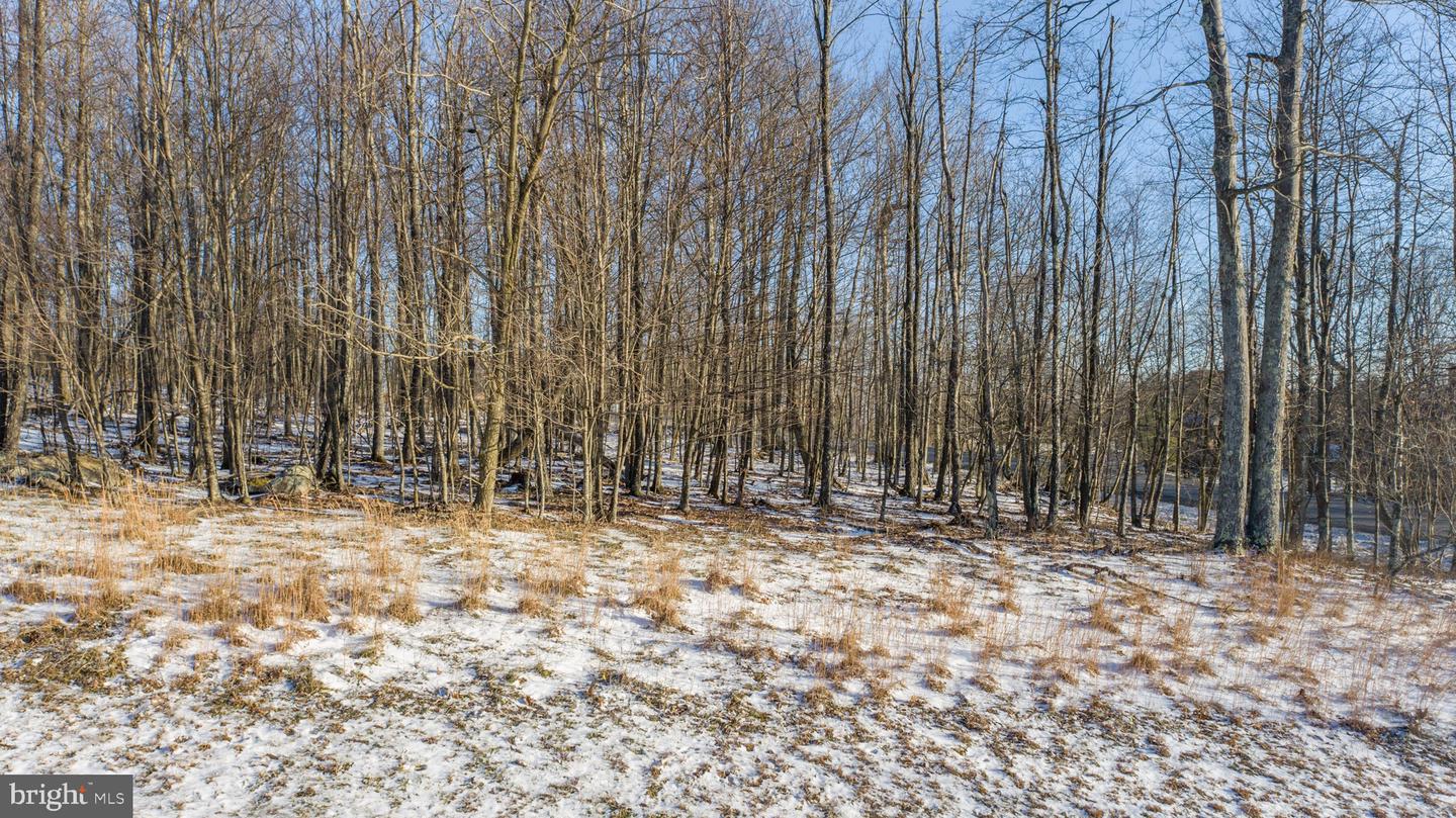 Lot 100 Snowhaven Lane Property Photo 11